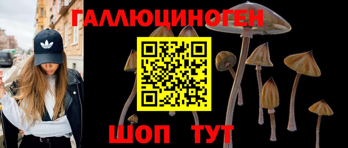 Псилоцибиновые грибы прущие грибы Волжск