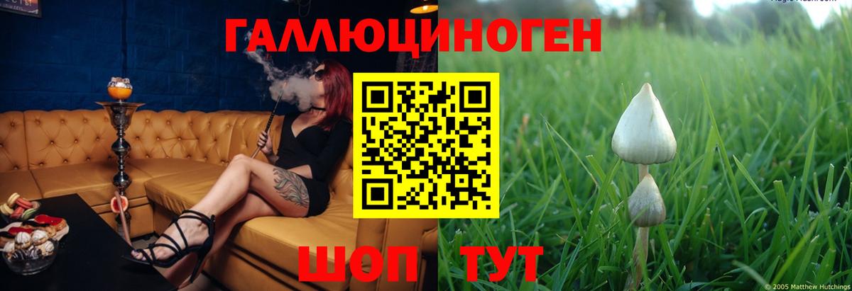 Галлюциногенные грибы ЛСД  Вход с VPN  Галлюциногенные грибы мицелий  Волжск 